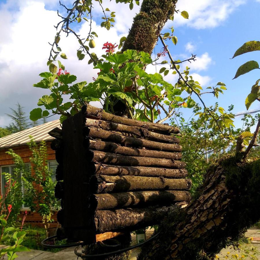 츠할투보 Magdan House 빌라 외부 사진