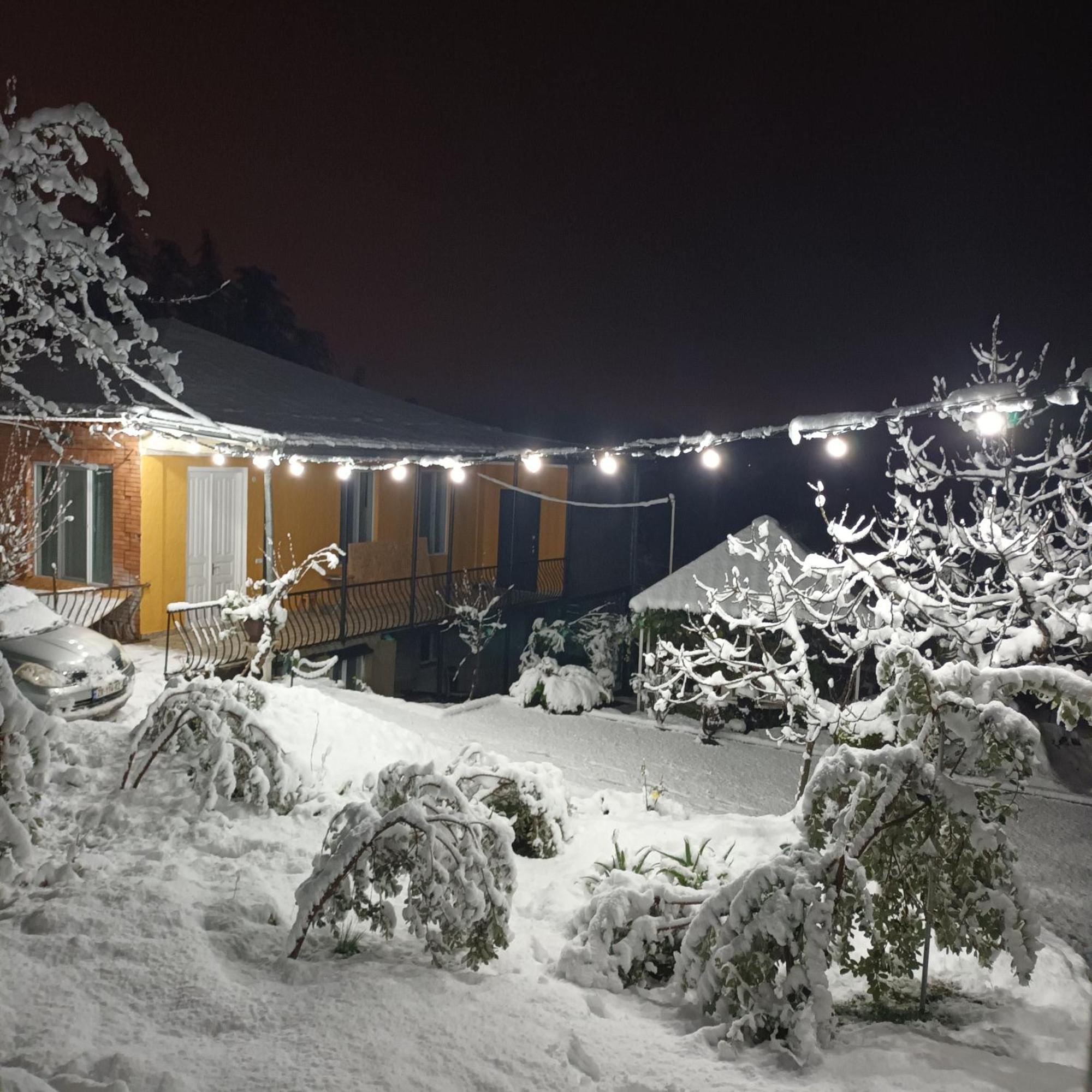 츠할투보 Magdan House 빌라 외부 사진