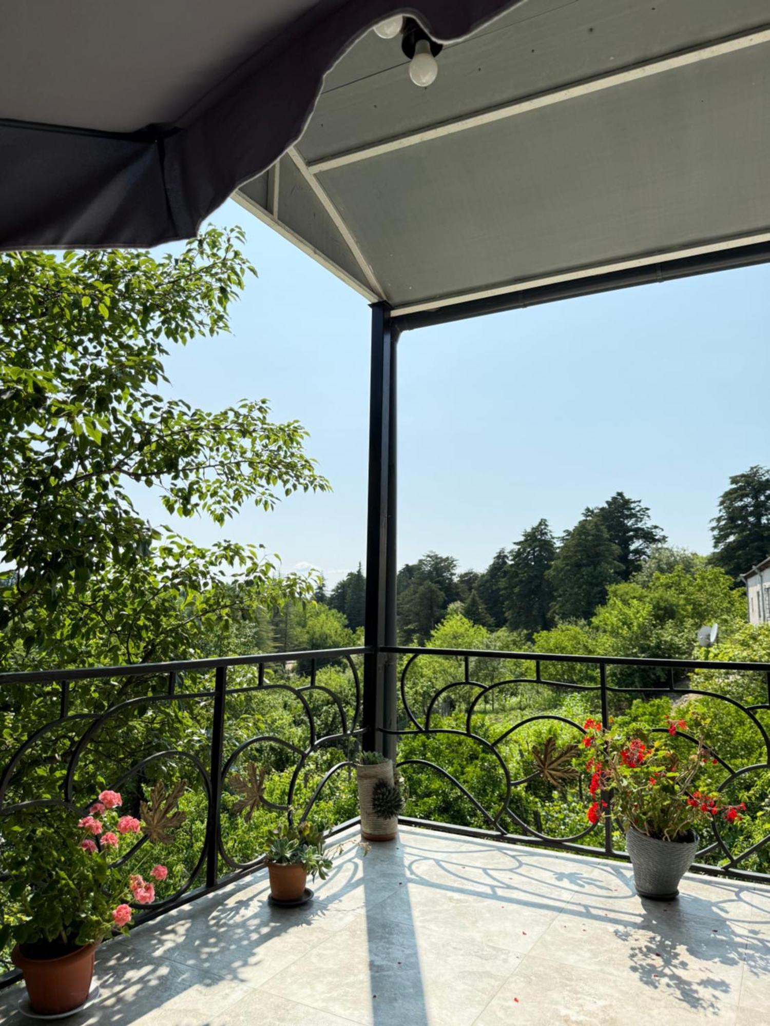 츠할투보 Magdan House 빌라 외부 사진